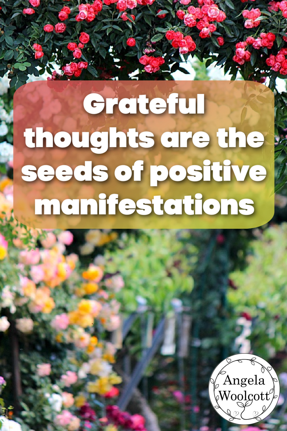 Rose garden with a positive quote.