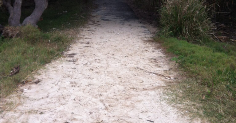 A sandy track from the bush leading to beach.