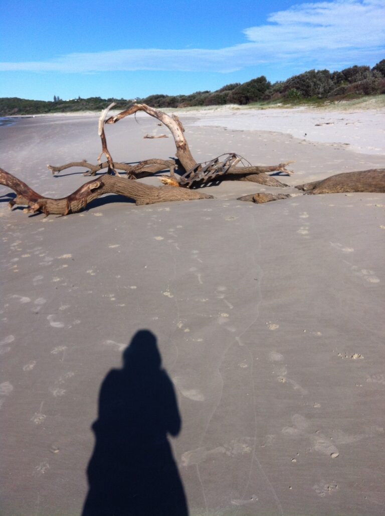 Photo of Angels Beach, Ballina, logs, shadow of photographer Angela Woolcott.