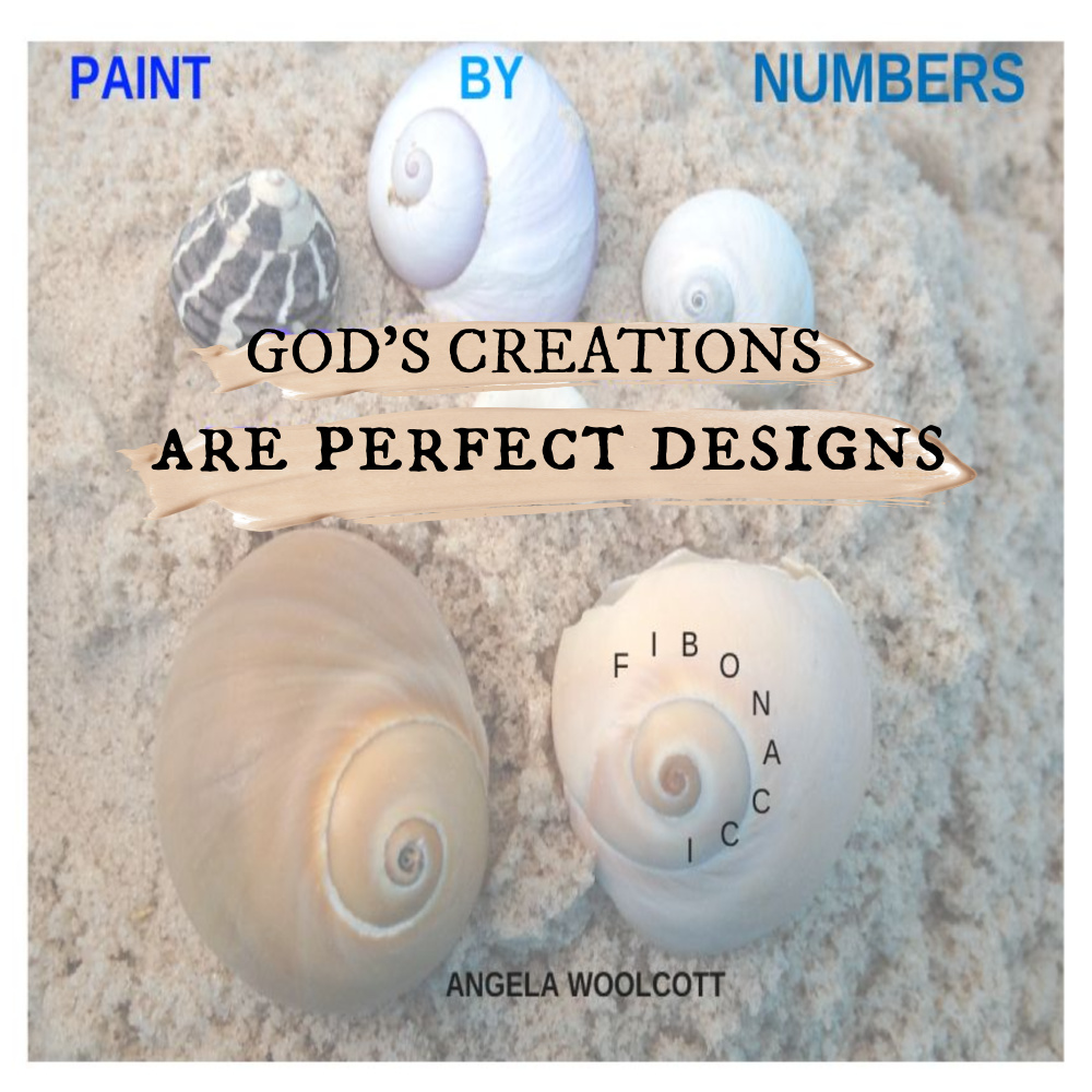Sand on a beach with five shells arranged in swirly patterns, accompanied by a quote about God's perfect designs and the Fibonacci sequence.