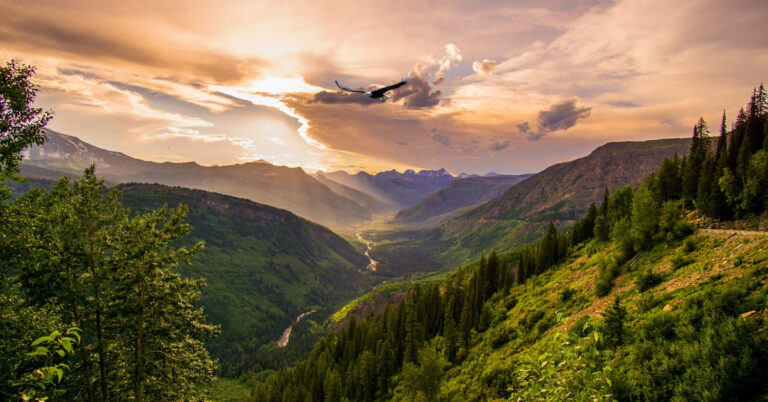 Sunrise over mountain, valley with eagle soaring in the sky.