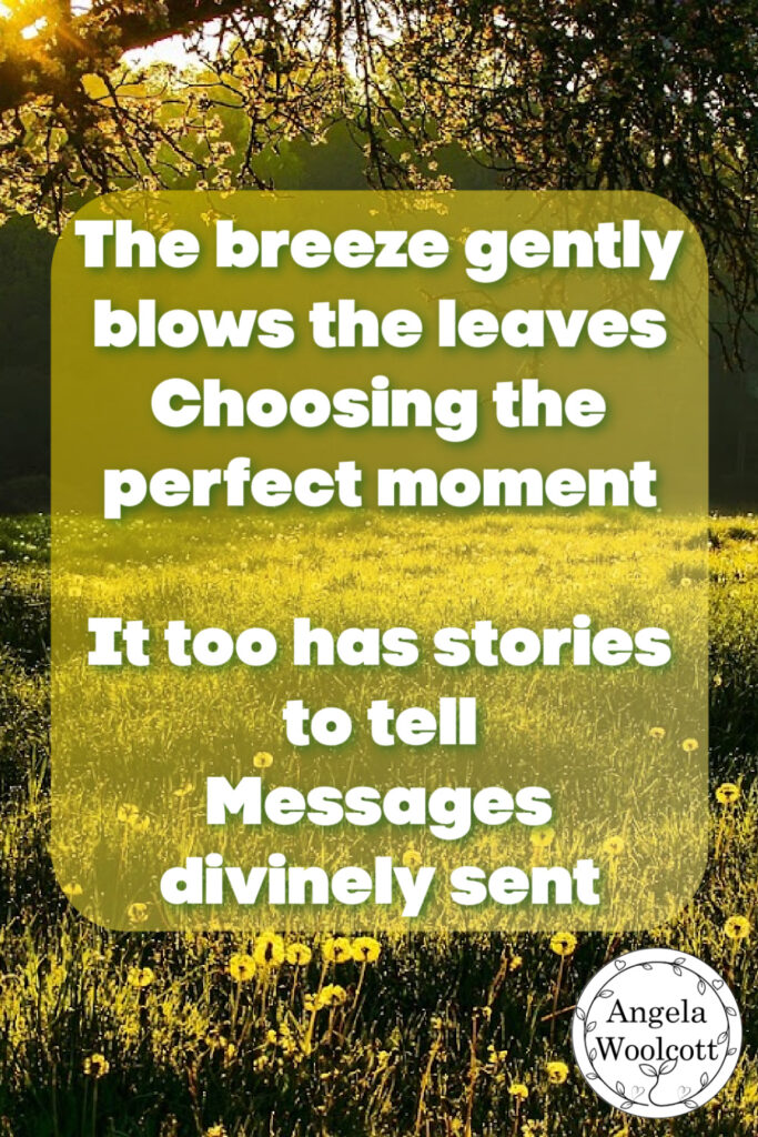Image of tree bough over a grassy meadow with flowers; with positive quote.