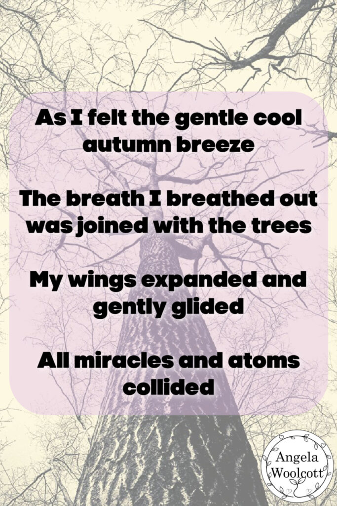 Looking up at large bare trees in Autumn. Poem extract.