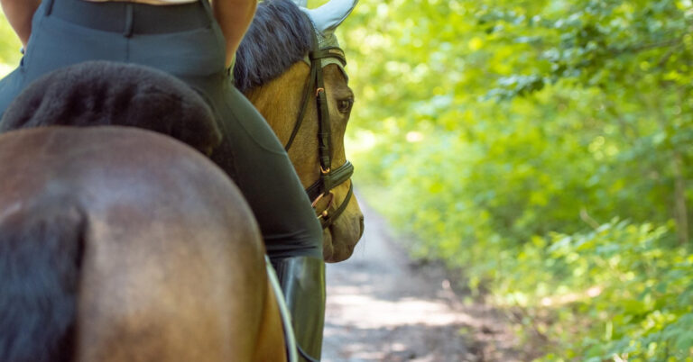 Horseback riding, country.