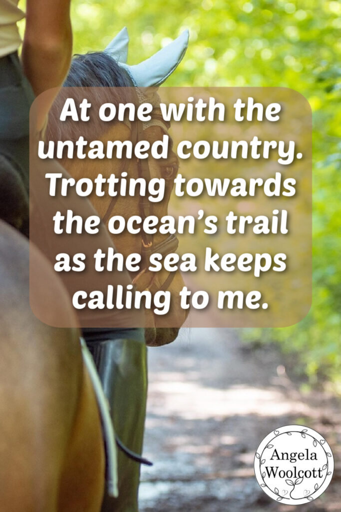Picture of a woman on a brown horse trotting down a sandy country track with poem extract. Pixabay photo