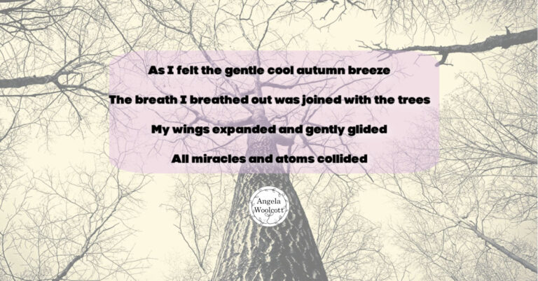 autumn trees base bare branches quote featured Bare autumn trees, a large trunk with a poem extract.