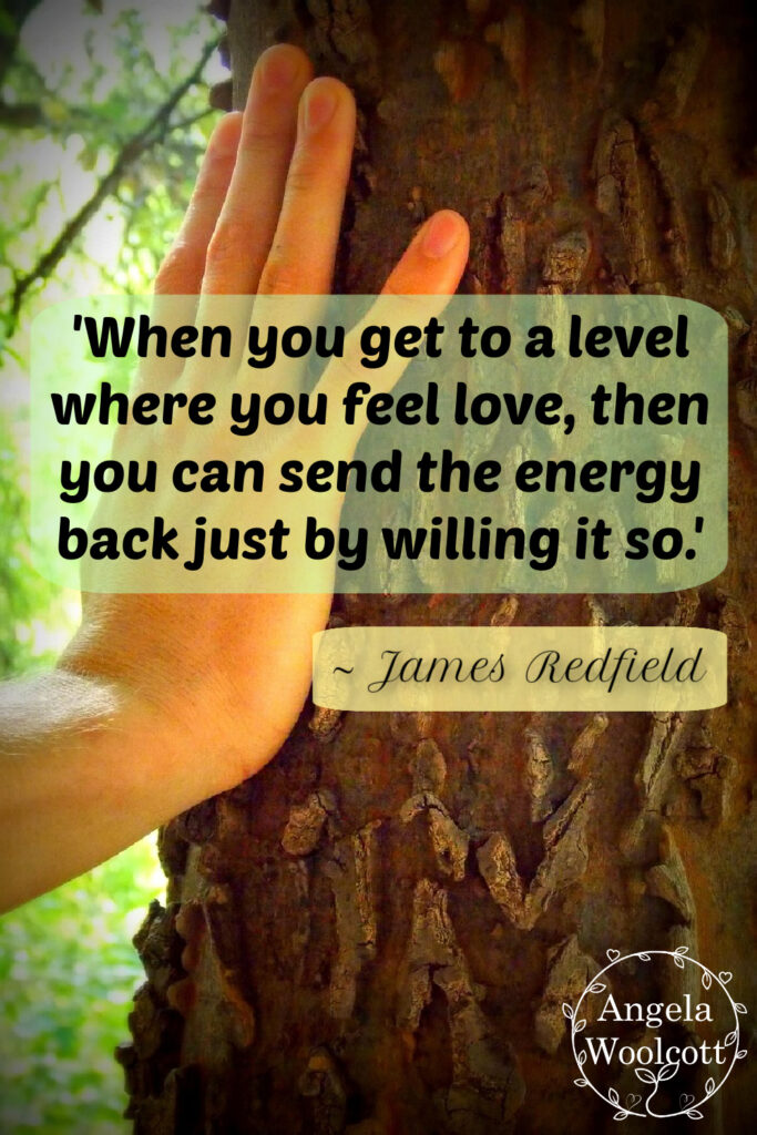 Hand on bark of a tree, positive quote.