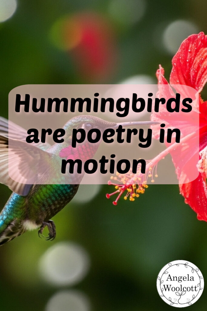Close-up Photo of a Hummingbird Hovering Near a Bright Red Flower with a Positive Quote Text. AI image.