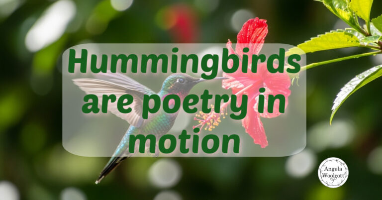 hummingbird flower quote ai featured A close-up Photo of a Hummingbird Hovering Near a Bright Red Flower with a Positive Quote Text.
