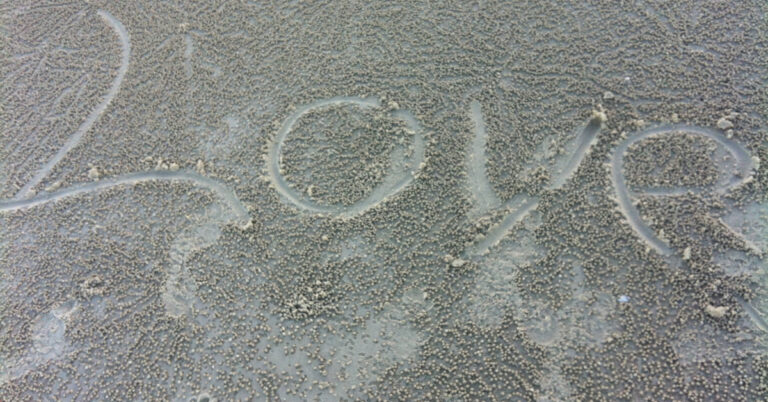 Picture of the word love carved on sand.