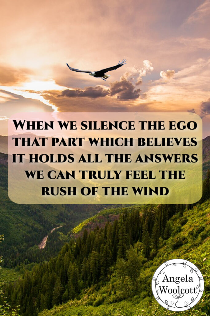 Eagle soaring in sky over a green valley, sunset sky with positive quote.