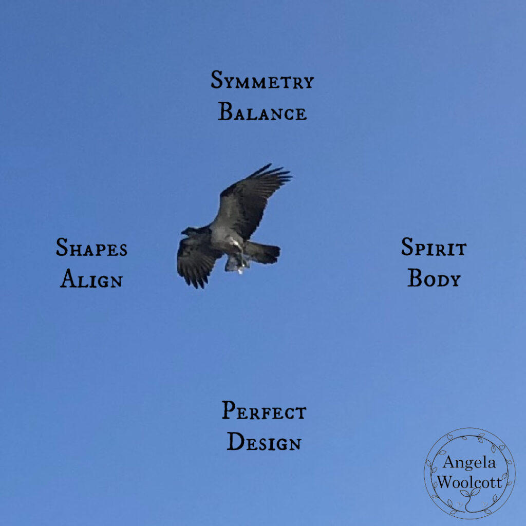 Photo of eagle Osprey soaring in the blue sky, with positive quote.
