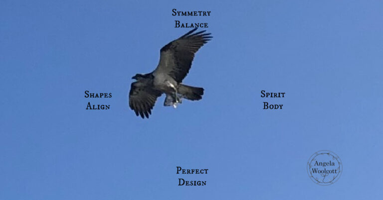 perfect design poem bird featured Osprey in blue sky with positive poem.