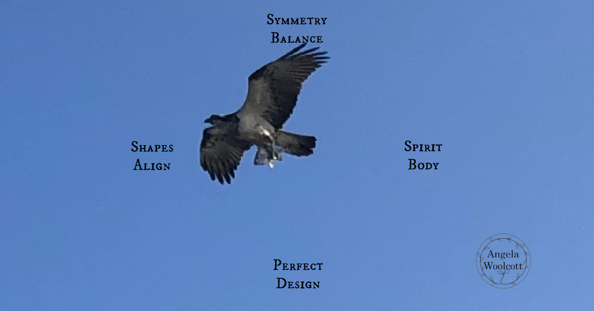 Osprey in blue sky with positive poem.