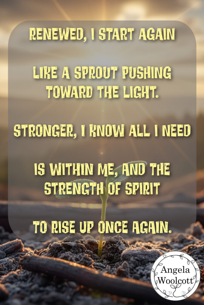 Sprout coming out of ashes, sunrise and valley in background with positive quote. AI image.