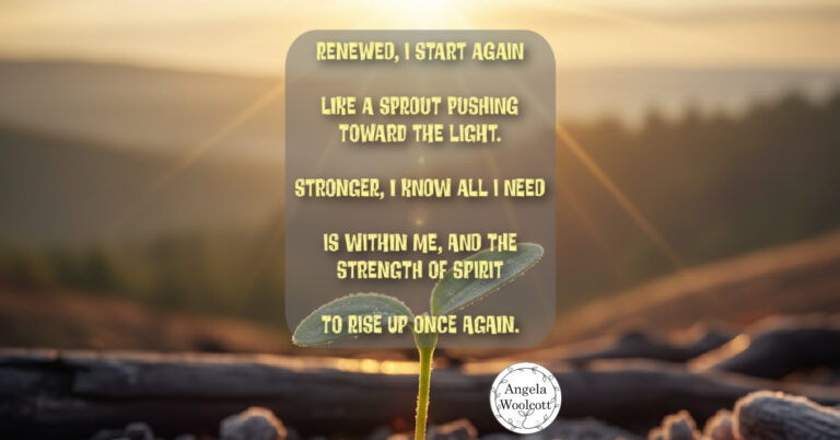 Sunlight streaming down over a small sprout pushing out of ashes with a positive quote.